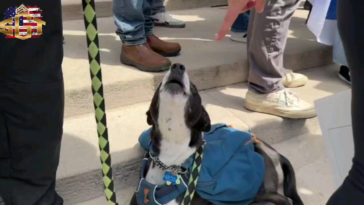 The patriotic dog and he can hold a tune