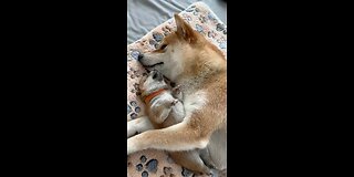 Mother's Love