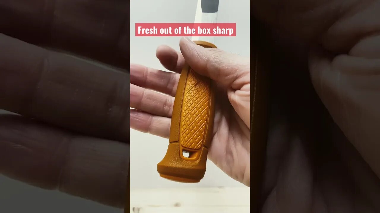 MORAKNIV KANSBOL -testing sharpness out of the box.