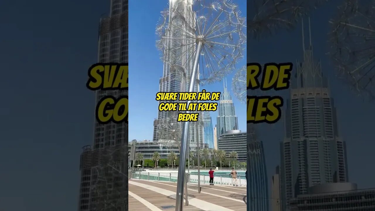 Følg mig for flere quotes hver dag! #shorts