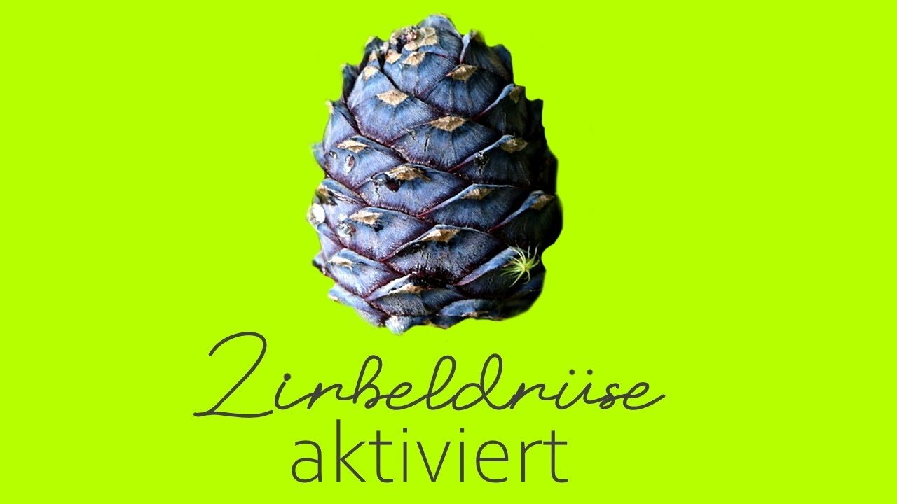 zirbeldrüse aktivieren entkalken drittes auge fluorid schwermetall ausleiten _REVISION_