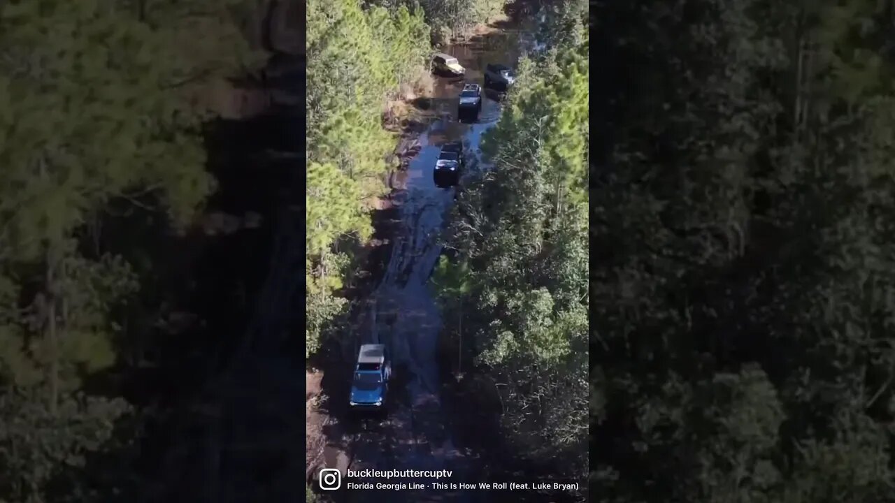 A bunch of Ford Broncos play in the water