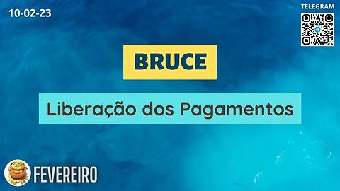 BRUCE Liberação dos Pagamentos