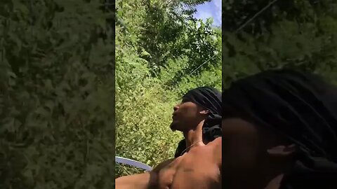 Using Cutlass To Clear Land