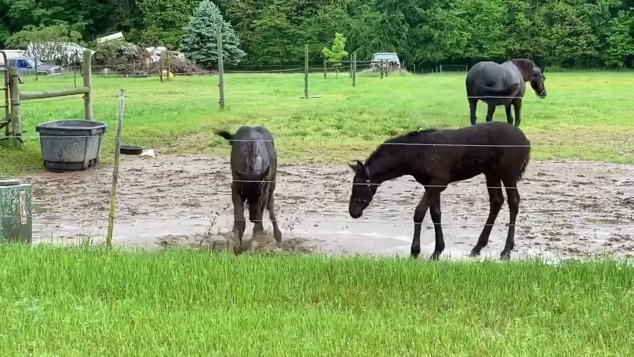 Mud bathing with my two kids!Must see