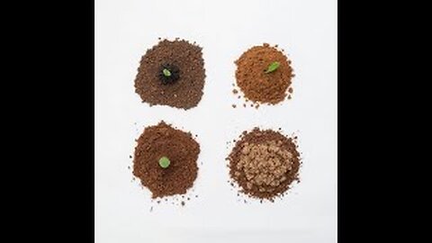 The Four Soils