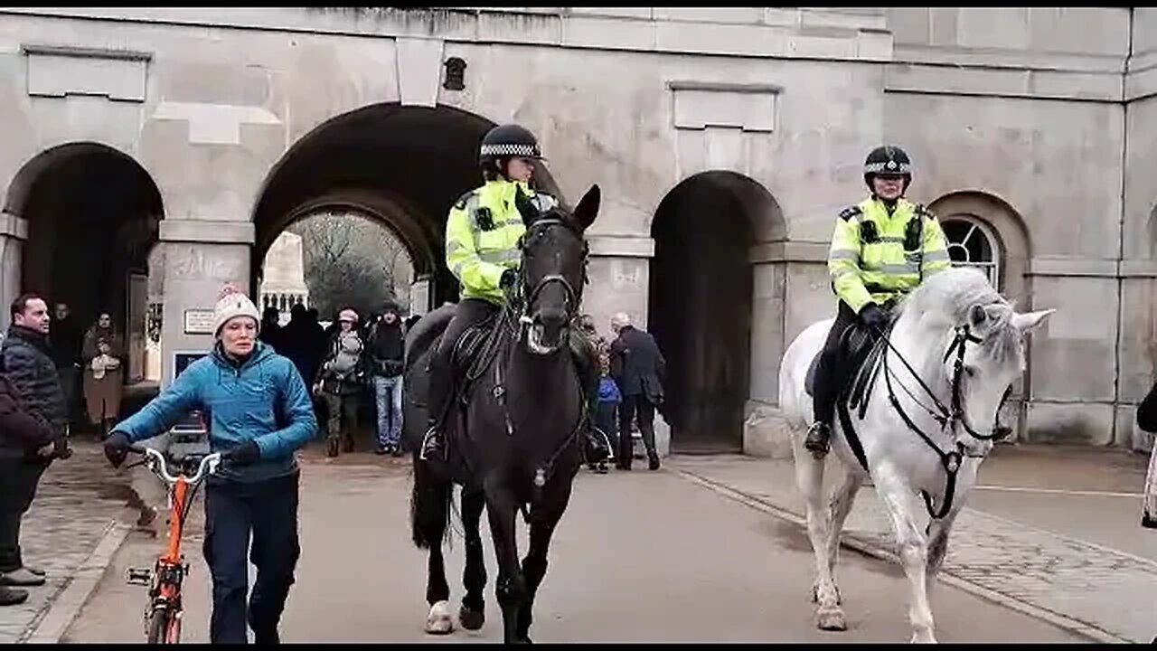 Close by the kings guard and met police horses #horseguardsparade