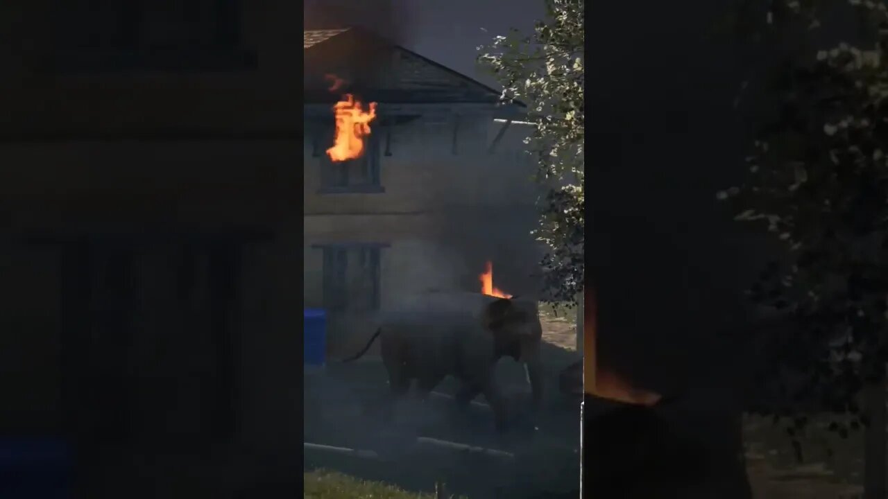 Angry Elephant Rampage #gaming #farcry4