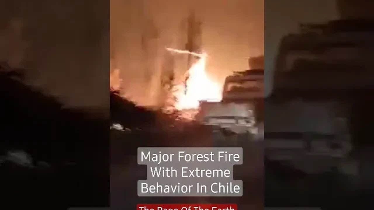 Major Forest Fire With Extreme Behavior In Chile. #shorts #disasters #forestfire