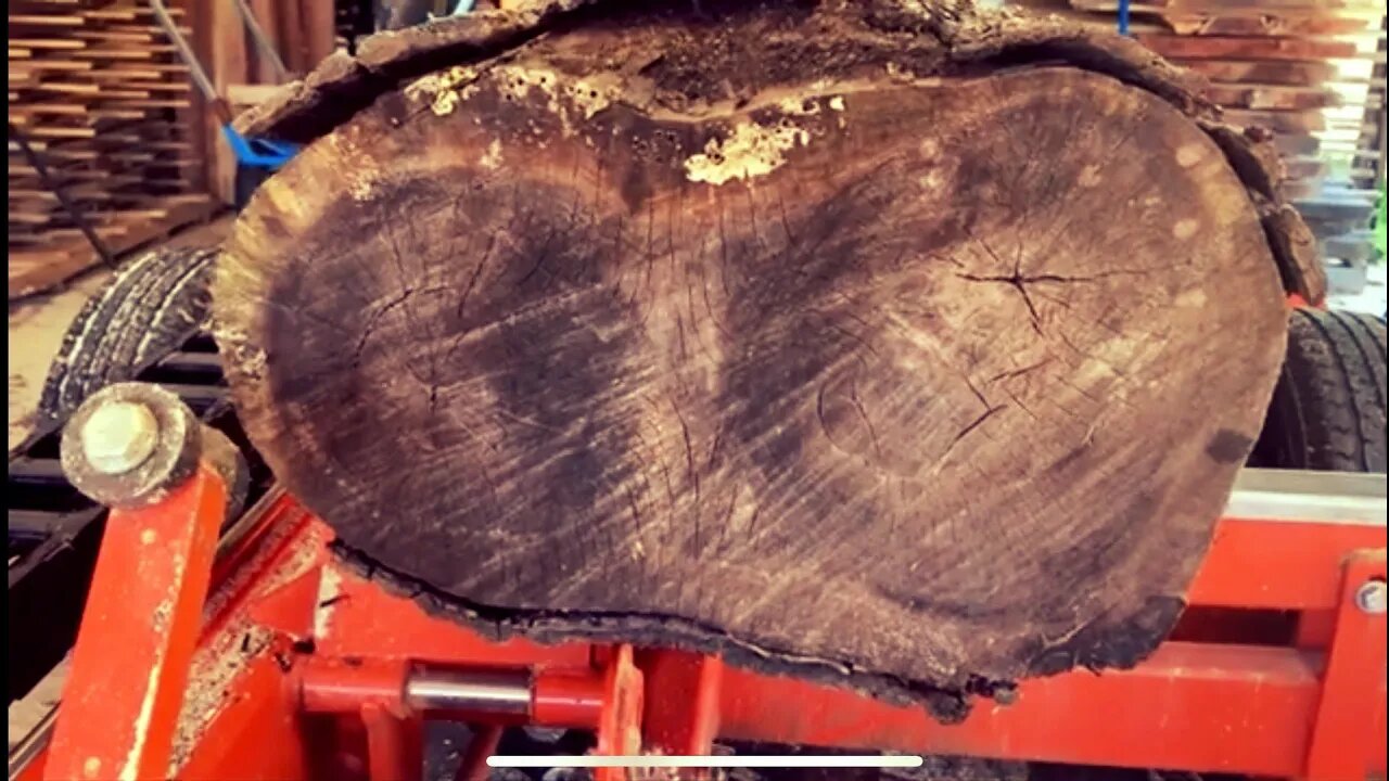 A Rare (kinda) Double Heart Walnut On The Sawmill, Amazing Slabs