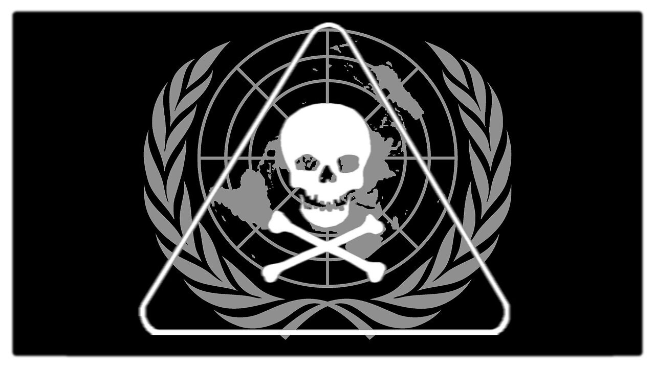 Disengaging Entirely From the United Nations Debacle! Dr Rima Laibow! Greg, Reese Report