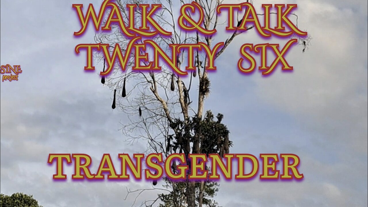 WALK & TALK 26 / TRANSGENDER