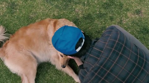 A man petting a dog in the grass