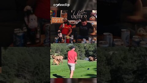 WrongNews - Sports Edition