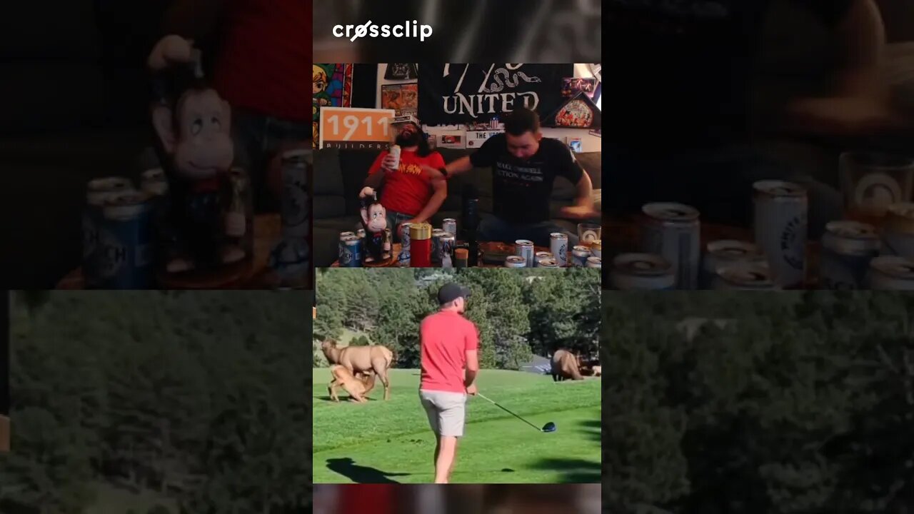 WrongNews - Sports Edition