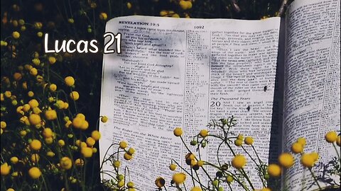 Lucas 21 {novo testamento}