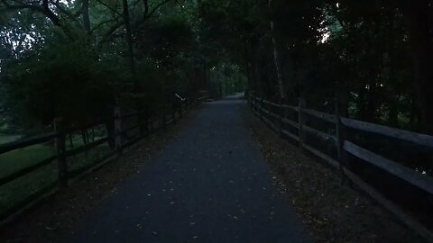 there is always a light.