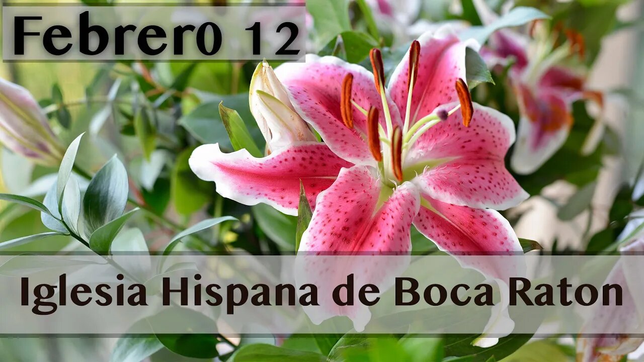 Servicio de Iglesia Hispana de Boca Raton 02/12/2023