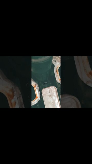 dodge keeping my bills paid