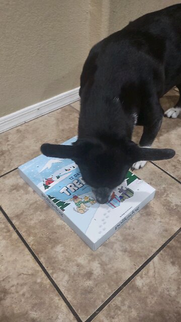 Pepper's Advent Calendar Adventure Day 1