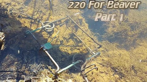 220 For Beaver Part 1