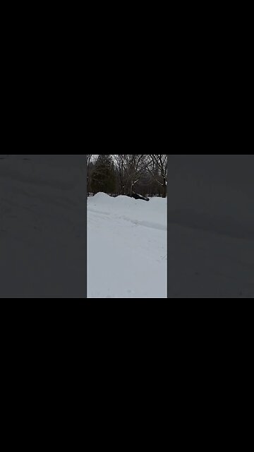 subaru dose snow drift #automotive #shorts