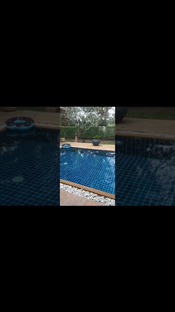 Good Morning 🏝️ #bitcoin #lifestyle