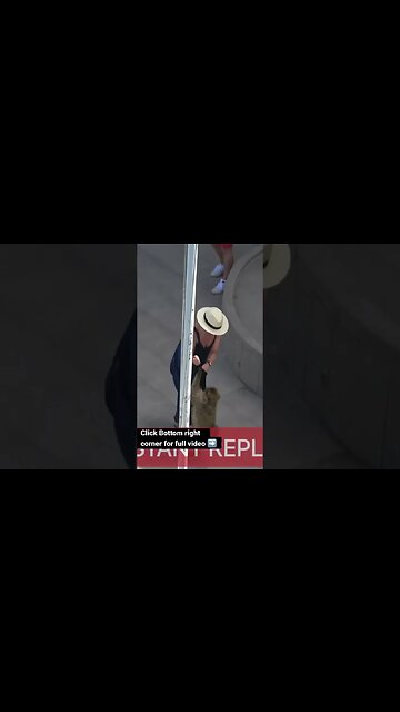 Monkey Attacks Gibraltar #shorts