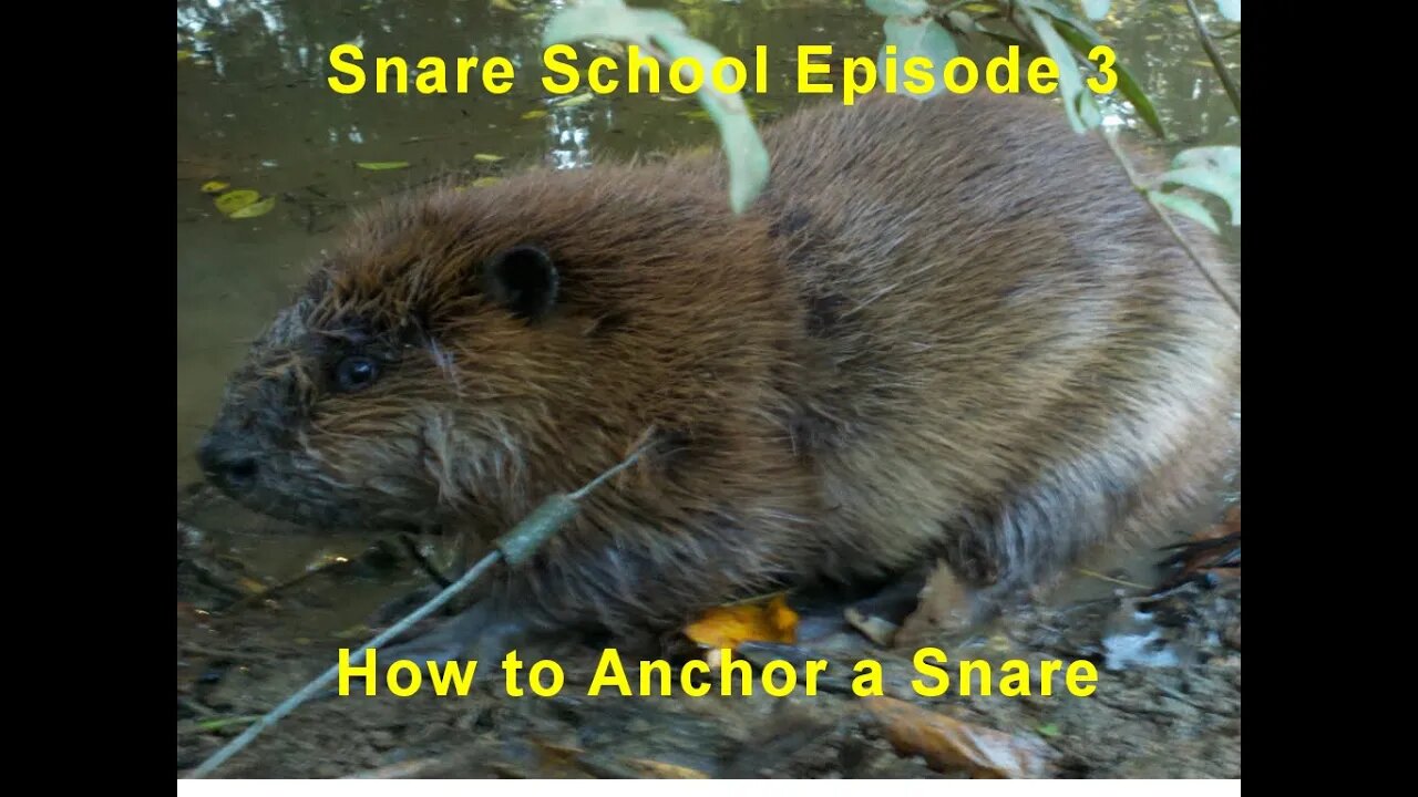 Snare School Episode 3 How to Anchor Your Snare