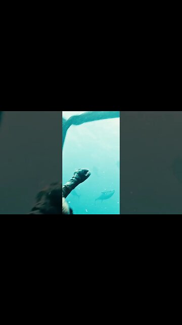 Spearfishing Bluefin - Back To The Med #shorts