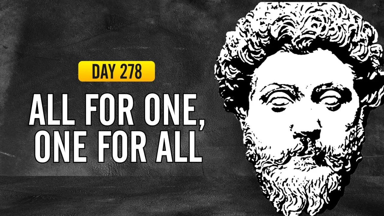 All for One, One for All - DAY 278 - The Daily Stoic 365 Day Devotional