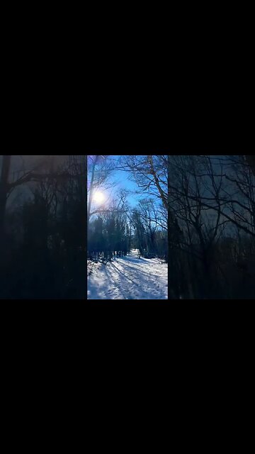 Walking Trails in Canada 🇨🇦 #canadian #trails