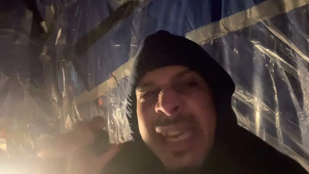 Pure leaf tea drink review 2023