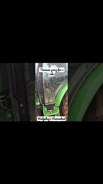 Norman’s going for a ride on Mabel