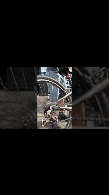 CHEAP MTB Freehub Soundcheck #mtb #sounds