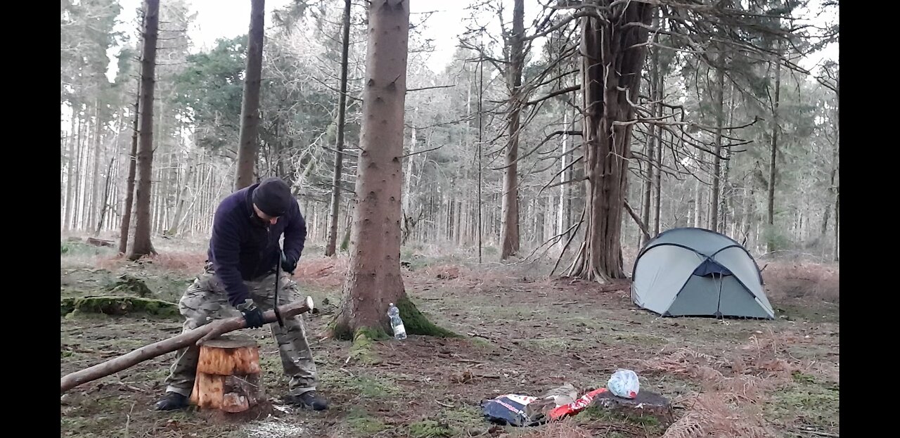 Sawing the firewood with the agawa Boreal saw 20th Jan 2023