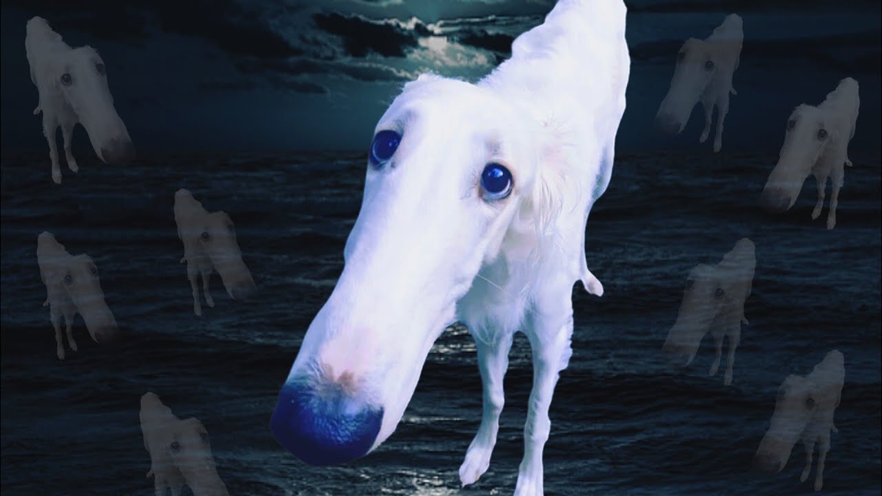Let me do it for you... | Borzoi dog meme