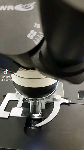 do you see what I see?