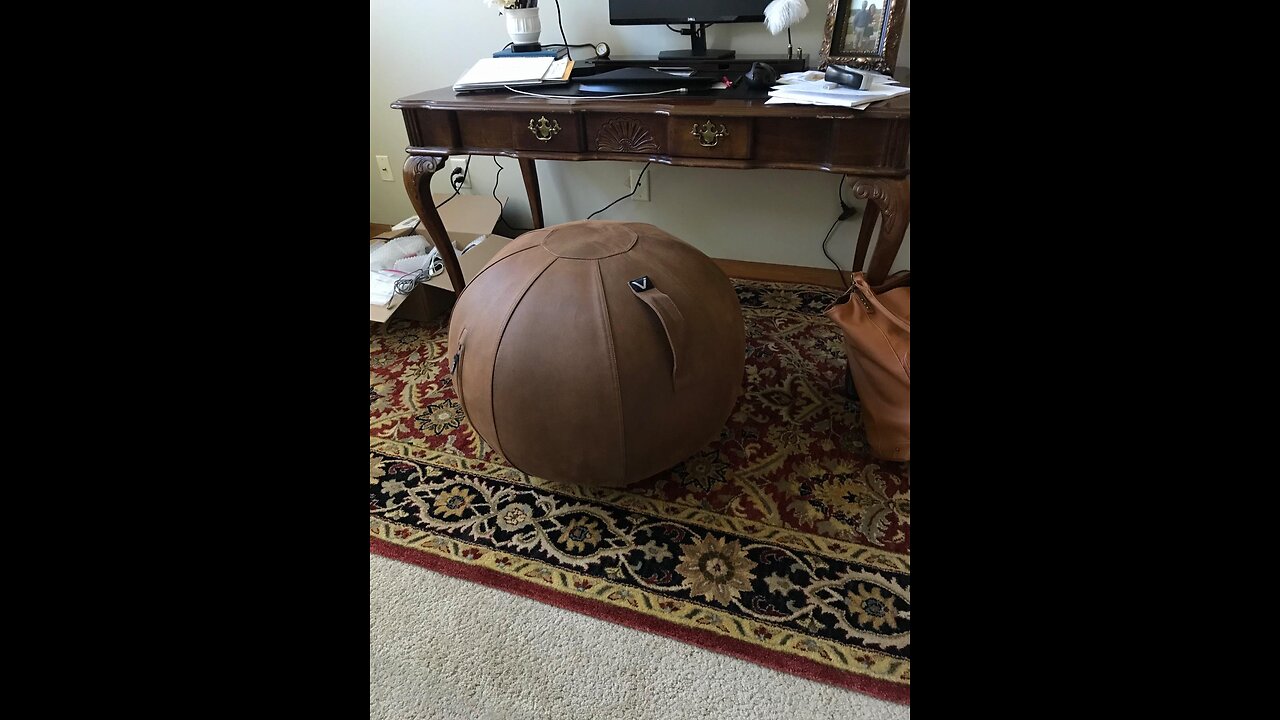 Vivora Luno Exercise Ball Chair, Felt, Standard Size (22 to 24 inches), for Home Offices, Balan...