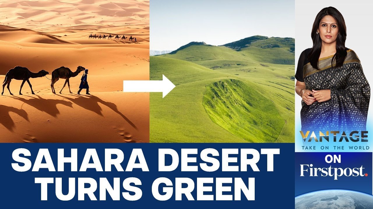 Sahara Turns Green: Should we Celebrate or Worry?