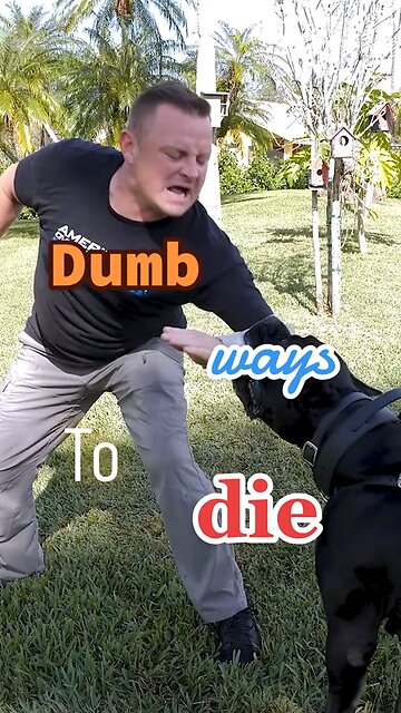 No trainers were harmed in the making of this video (okay maybe one)