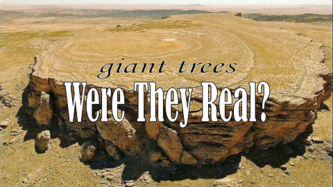 Giant Trees - Were They Real?