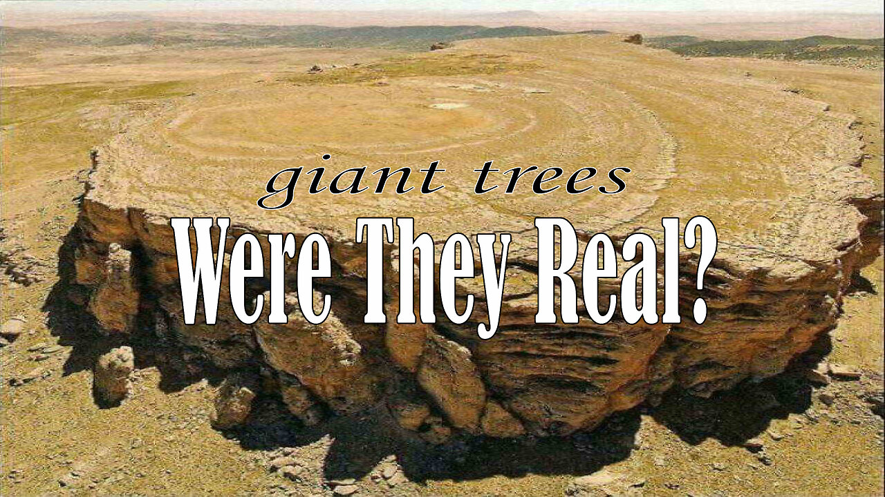 Giant Trees - Were They Real?