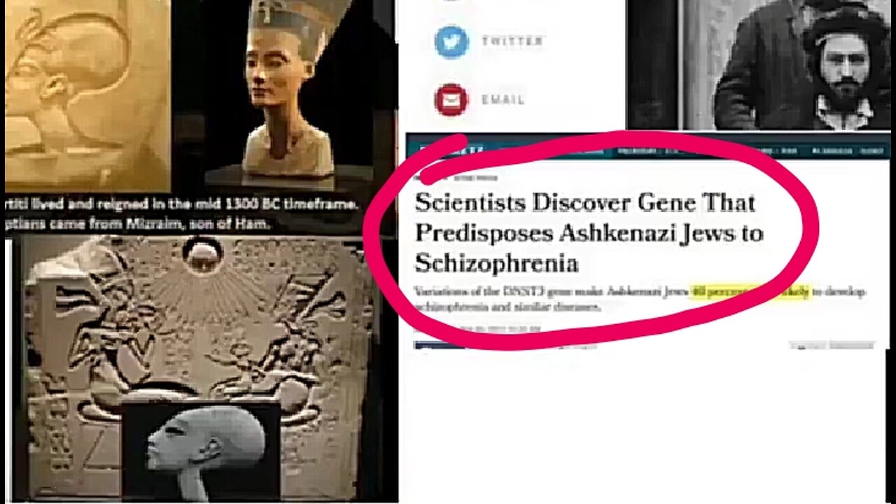 WHAT DOES DNA EVIDENCES REVEAL ABOUT THE ASHKENAZI JEWS? ✡️