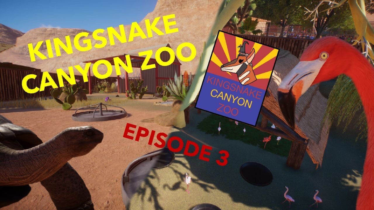 New Tortoise Habitat and Correcting My Mistakes | Kingsnake Canyon Zoo: Episode 3