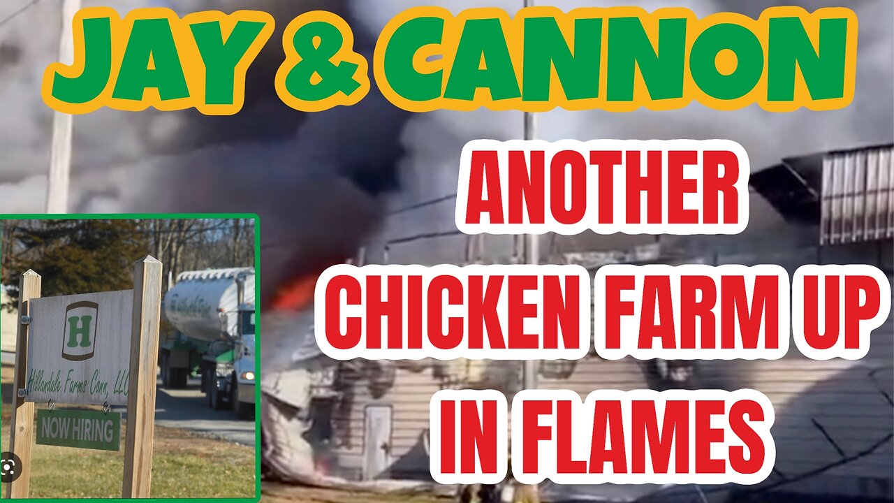 JAY & CANNON: Another Egg Farm Up In Flames