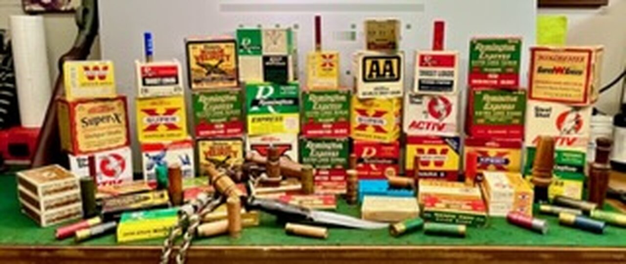 Shotgun shell collection!