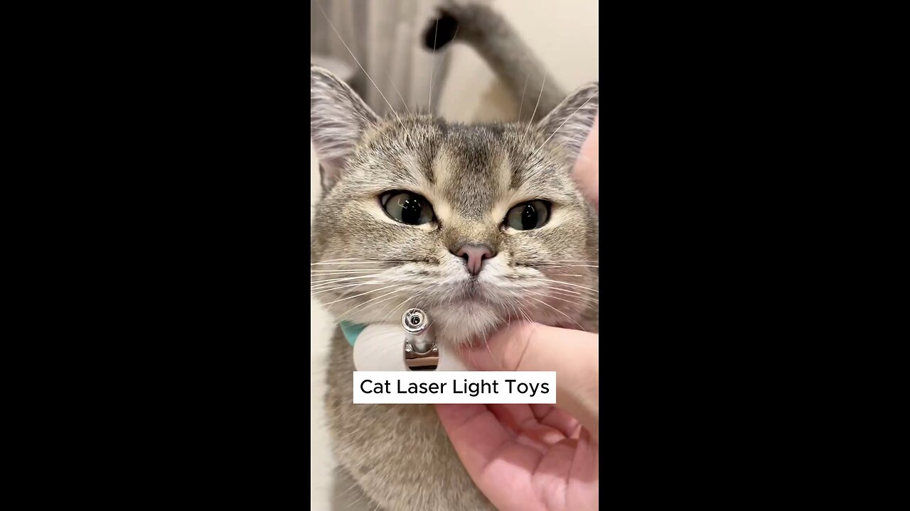 Cat Collar Laser Light Toy – Interactive Play & Fun for Cats