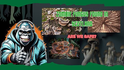 Zombie Fungus Found: Are We in Danger?