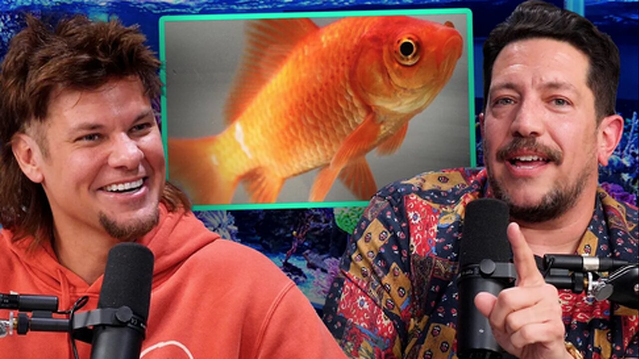 Sal Vulcano's INSANE Goldfish Story